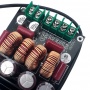 Усилитель мощности звука 2x300 Вт TPA3255 (SAMP-100)